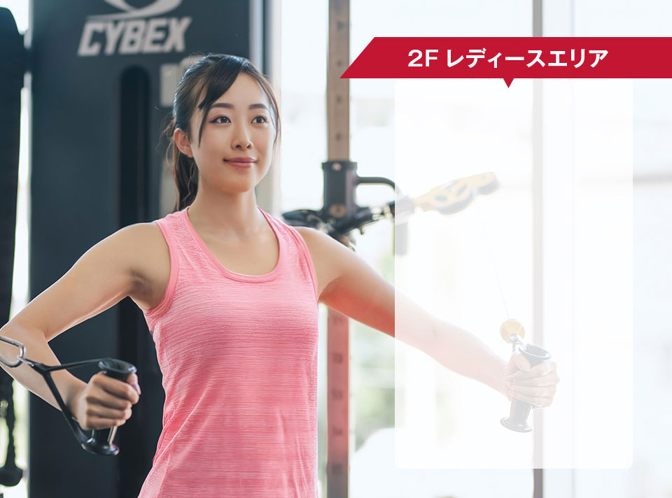 2Fレディースエリア