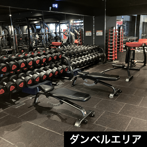 ダンベルエリア
