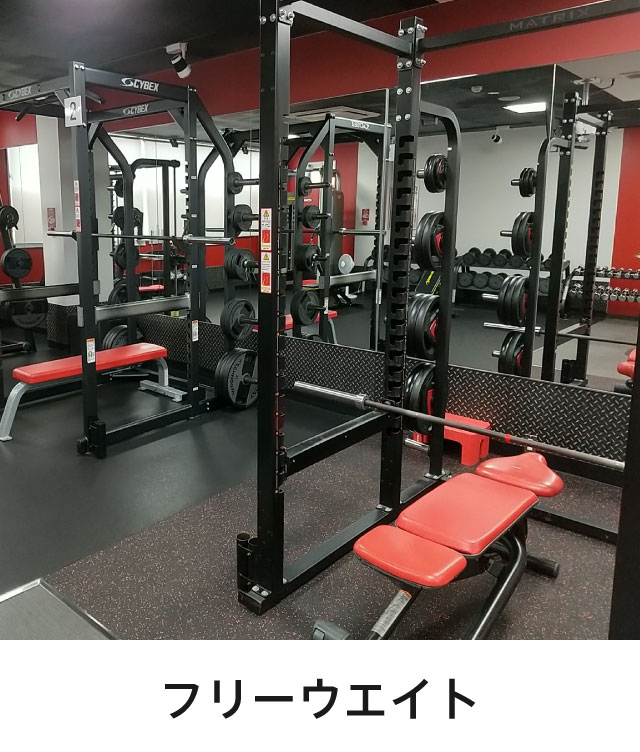 フリーウエイト