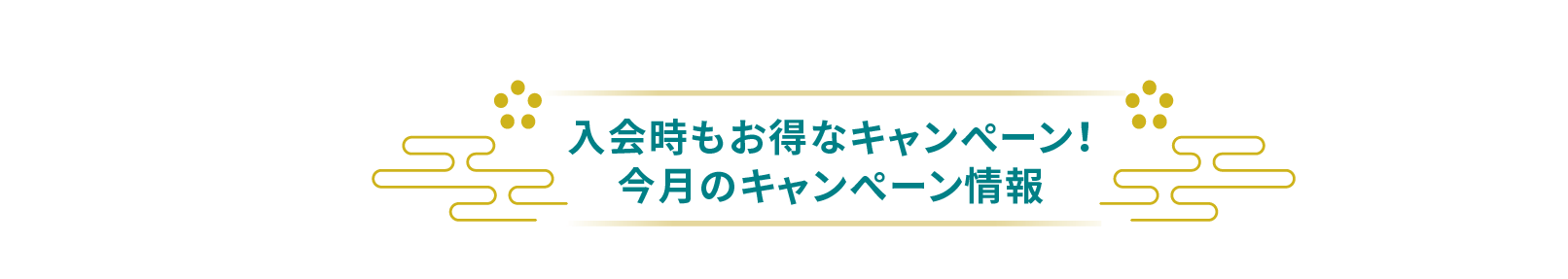 今月のキャンペーン
