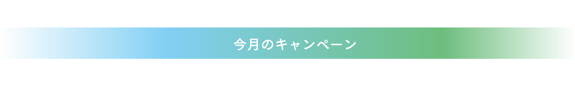 今月のキャンペーン