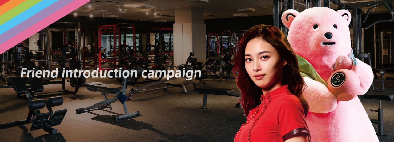 Friend introduction campaign