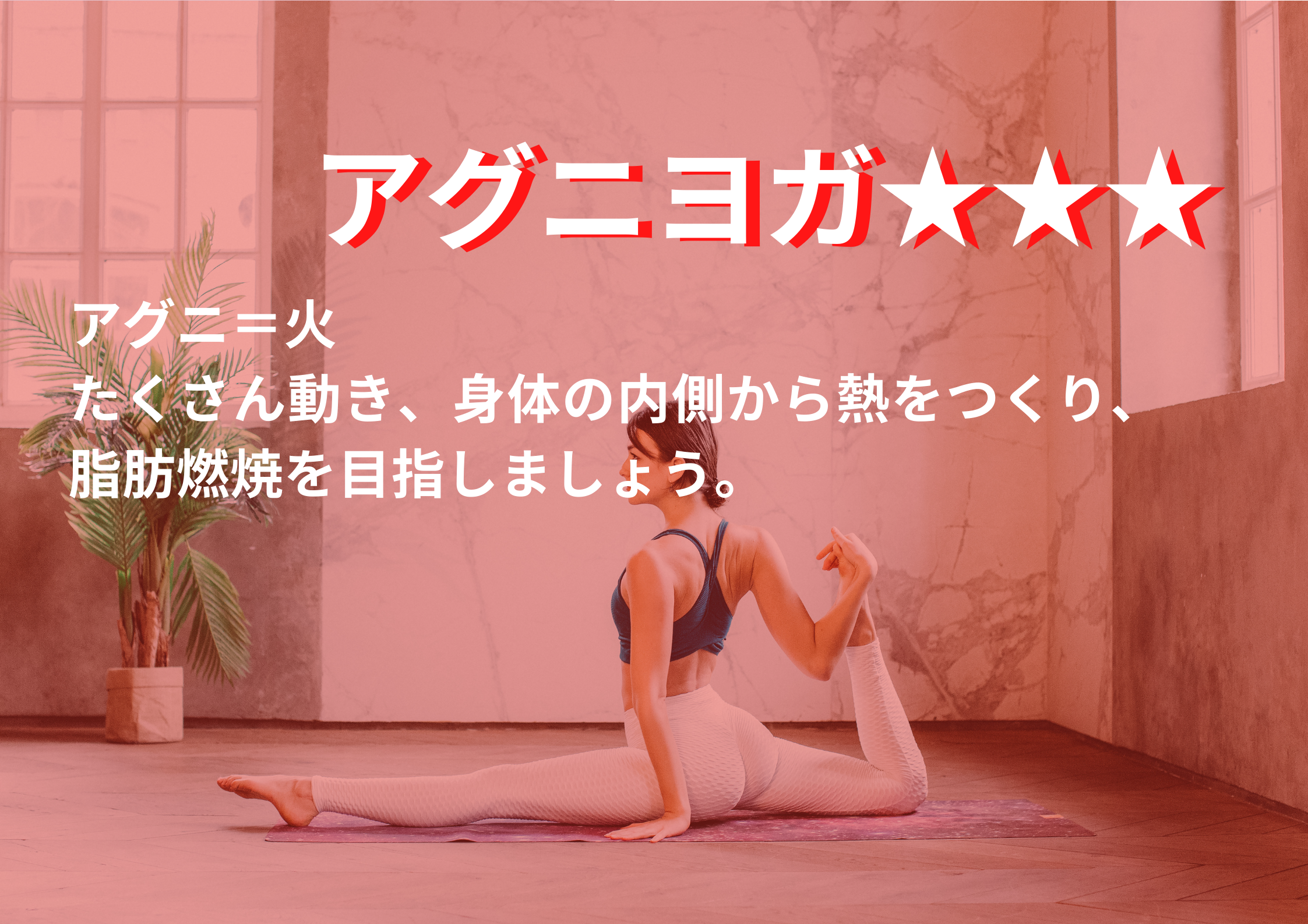 アグニヨガ★★★ イメージ