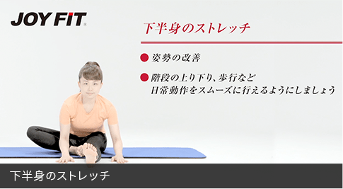 下半身のストレッチ