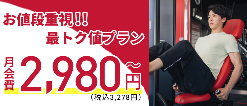 【赤LITE2,980円】お値段重視!!最トク値プラン