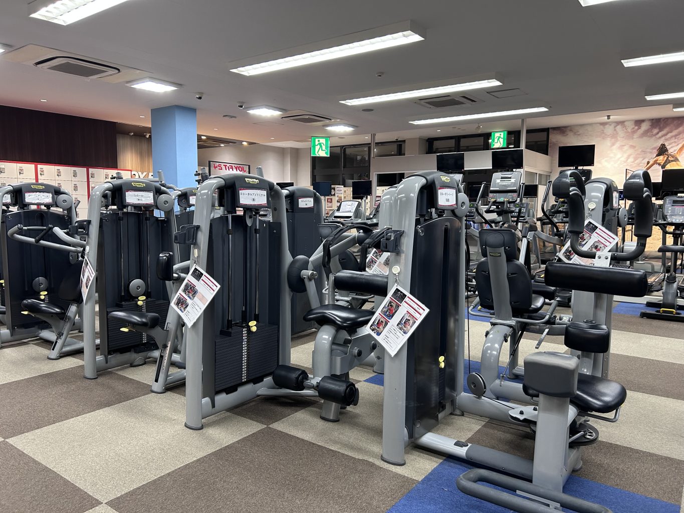 豊富な筋トレマシン
