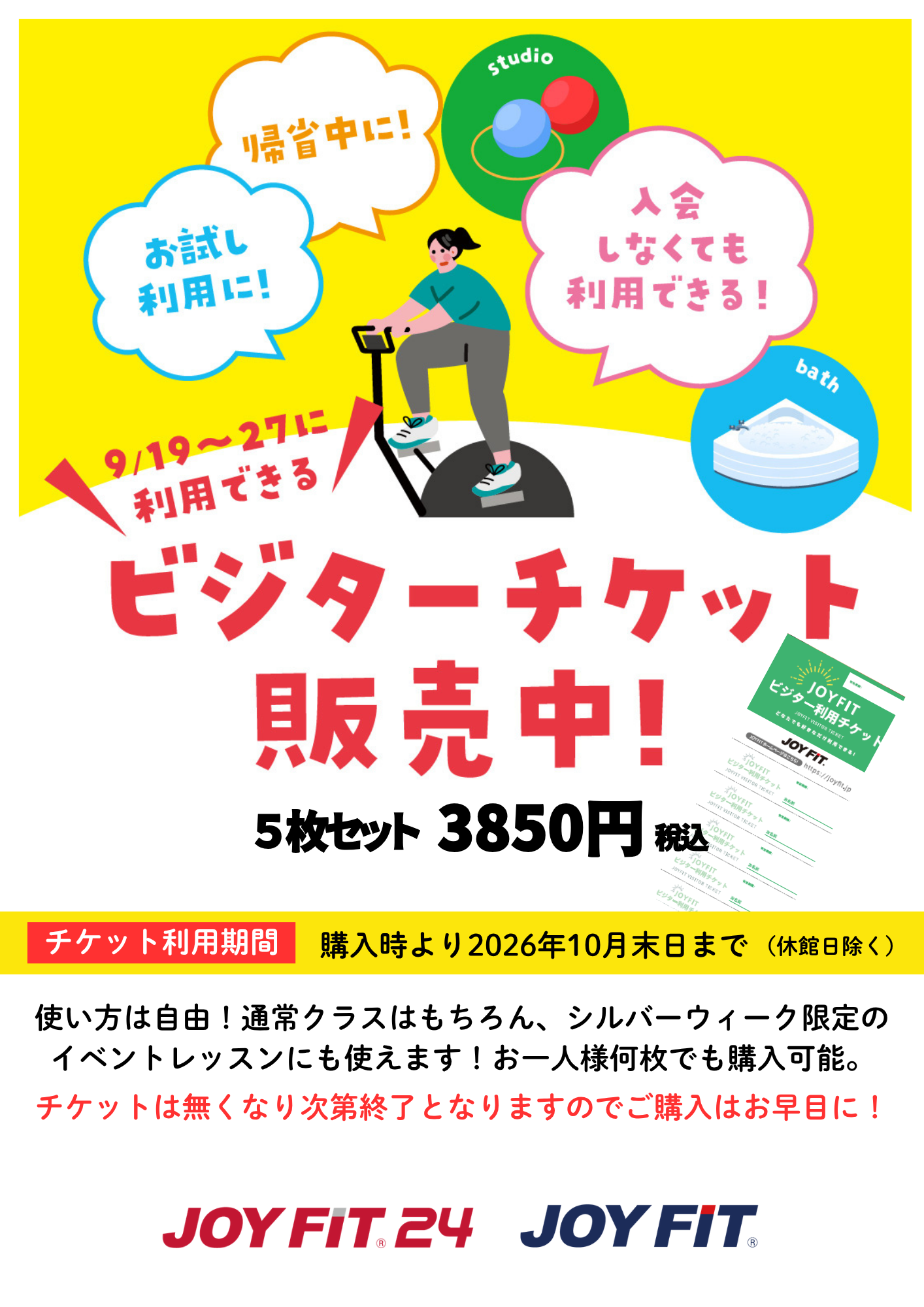 ビジターチケット販売