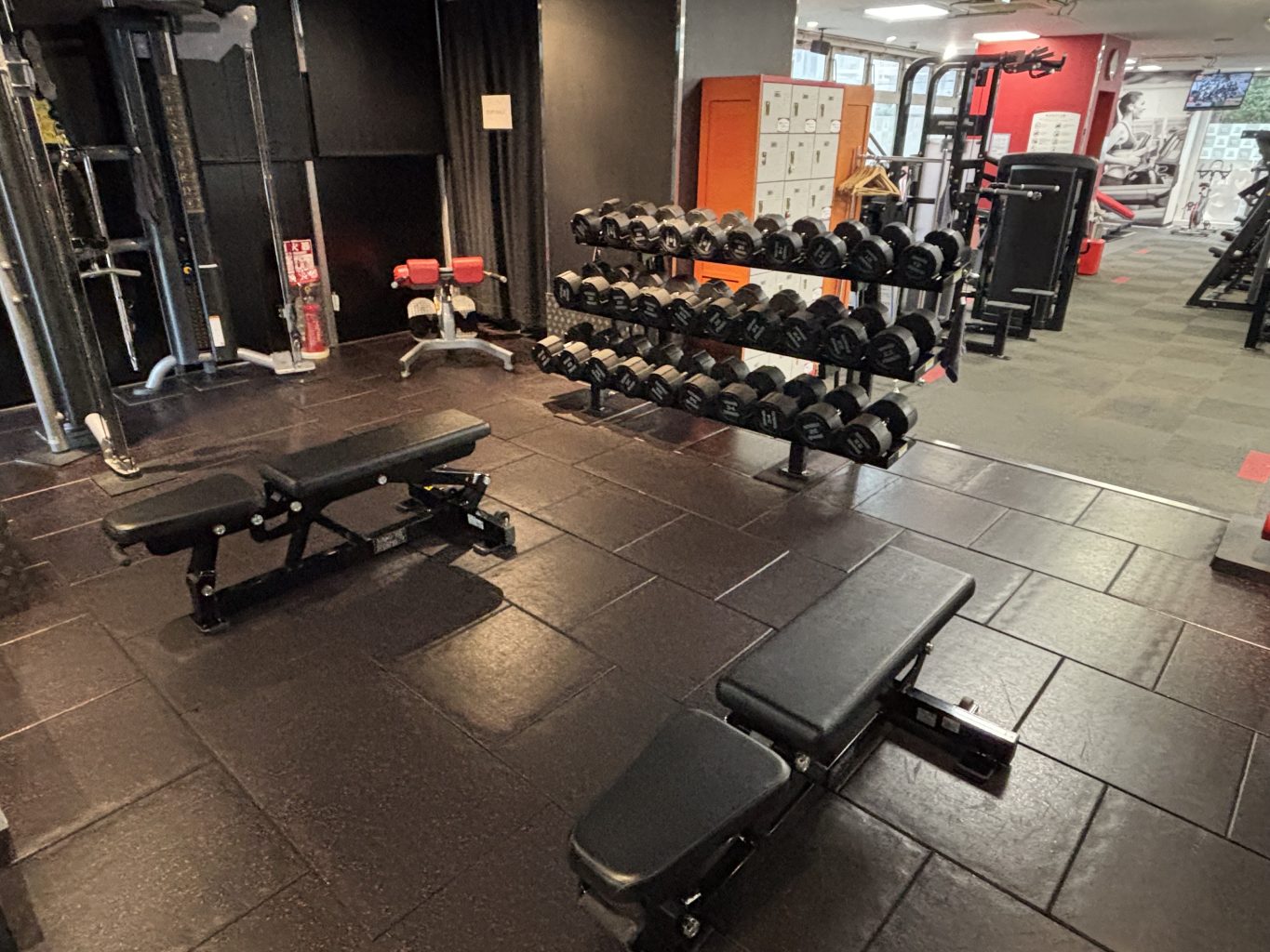 ダンベルエリア