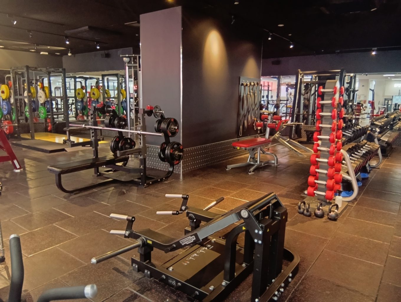 フリーウエイト①