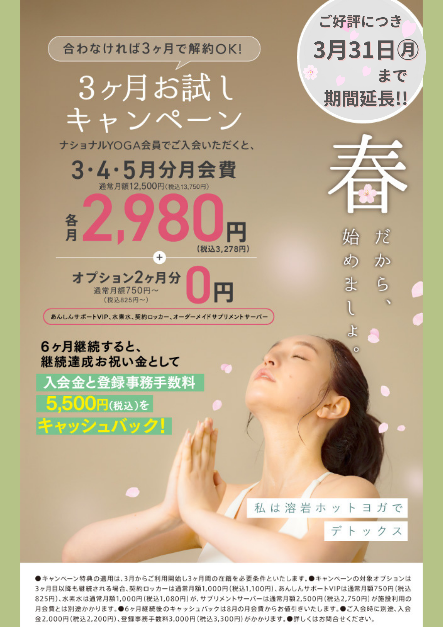 3月後半お試しCP