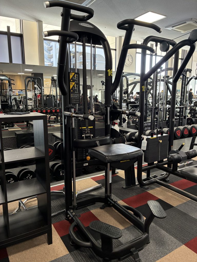 チン・ディップアシスト