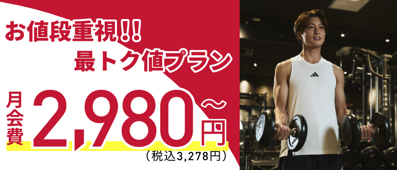 【赤LITE2,980円】お値段重視!!最トク値プラン