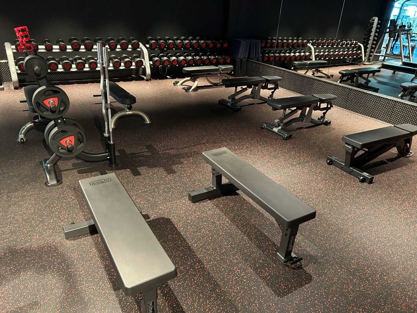 ダンベルエリア